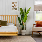 Lit à plateforme avec fuseaux et pieds fuselés en bois de pin massif Noyer / Caramel / Blanc / Chêne clair / Noir – Simple / Queen / King